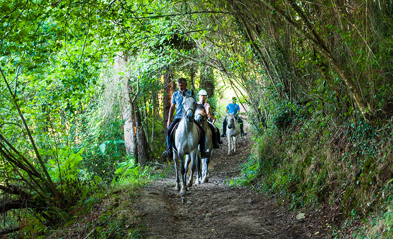 Прогулка на лошадях в Испании