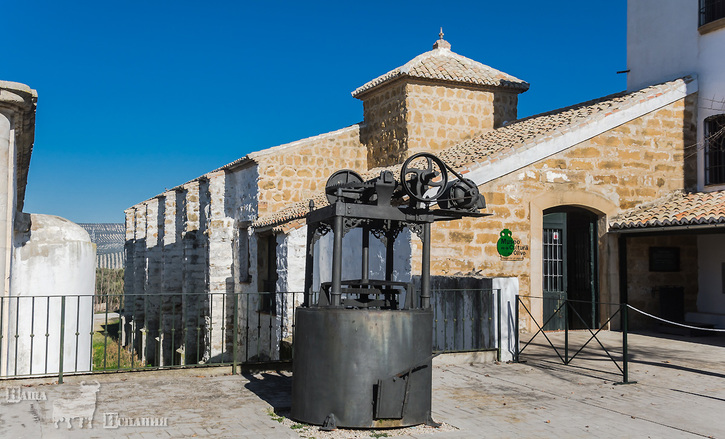 Как делают оливковое масло в Испании